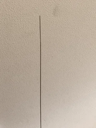 Antena Magnum MS-145