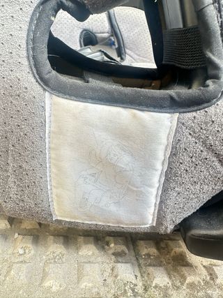 Silla de coche RECARO Young Sport