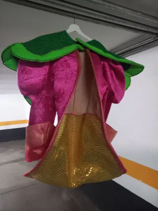 2 Chaquetas Carnaval Nuevas