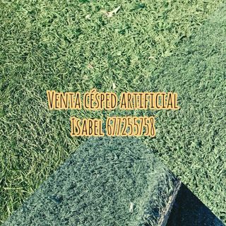 Vendita Erba Artificiale Isabel 677255758