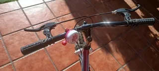 Bicicleta infantil rosa Topbike