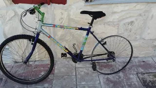 Bicicleta Montaña Vintage