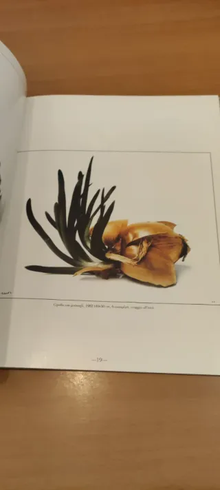 N.2 Volumi  "I grandi fotografi" Denis Brihat e Ma