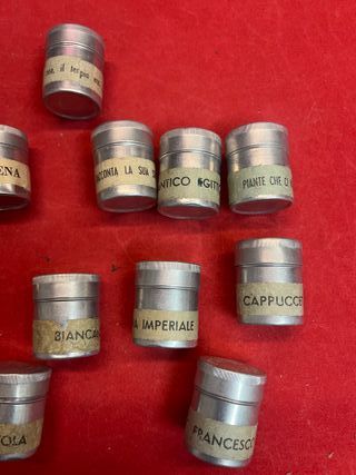 Rullini Proiezioni Didattiche La Scuola + Dischi