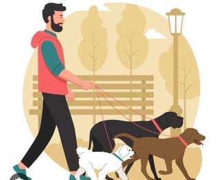 Cuidador y Paseador de perros (animales)