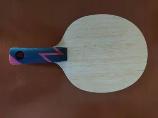 Raquete Ténis Mesa DONIC ZHANGJIKE Carbon