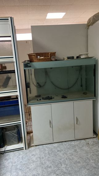 Mobiliario y estanterías local comercial