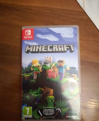 Minecraft Nintendo Switch