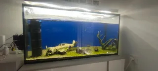 Acuario 200L
