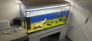 Acuario 200L