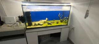 Acuario 200L