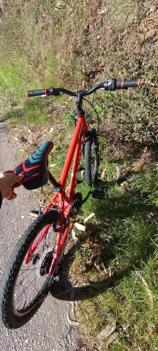 Bicicleta Junior Talla 20