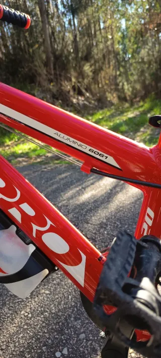 Bicicleta Junior Talla 20