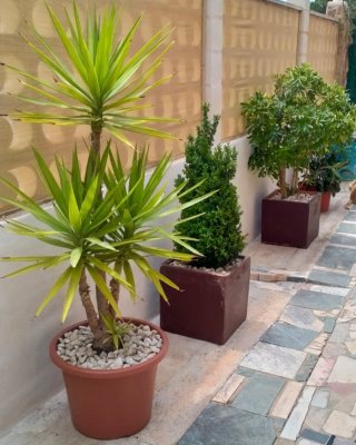 MACETERO GRANDE 42×42×42