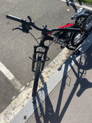 Bicicleta montaña 29 B-PRO