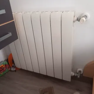 Caldera Junkers Euroline