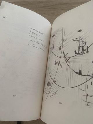 Rayuela / Hopscotch. Commemorative Edition (EDI...