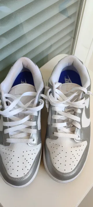 Nike Dunk Low Plata y Blanco
