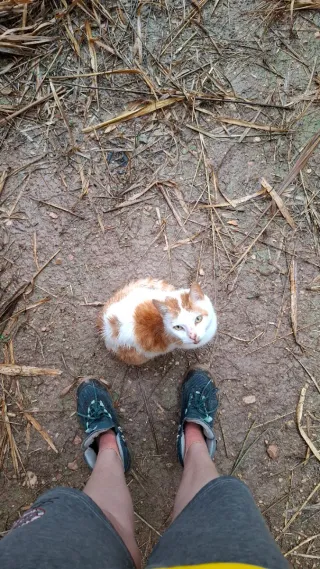 cuidador de animales