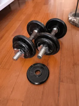 Pesas de gimnasio con discos