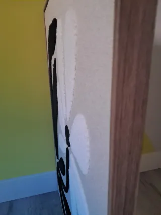 Cuadro Decorativo Flor Abstracta