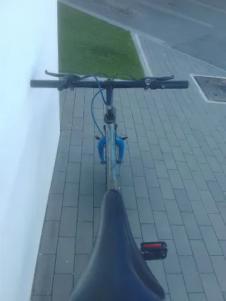 Bicicleta de Montaña