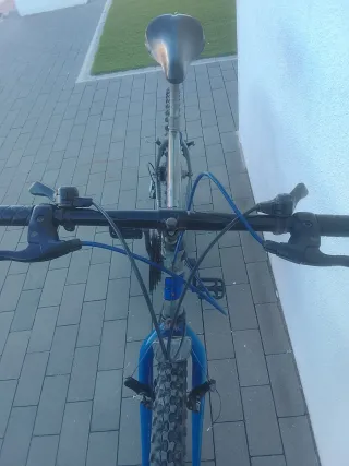 Bicicleta de Montaña