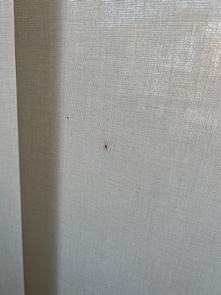 Cortinas de tela para comedor