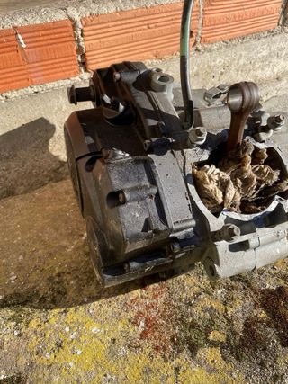 Parte baja Motor Yamaha Blaster Inferior