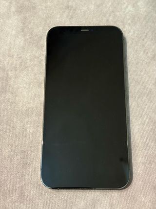 iPhone 12 Pro Max 256GB Gris