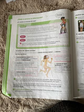 Ciencias de la naturaleza 6 primaria