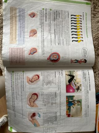 Ciencias de la naturaleza 6 primaria