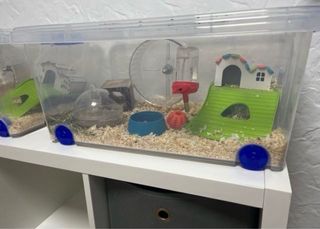 Jaula para hámster y accesorios