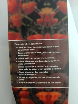 Feng Shui. El libro del bienestar 150 solucione...