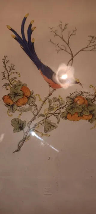 Grabado vintage pájaro y flores
