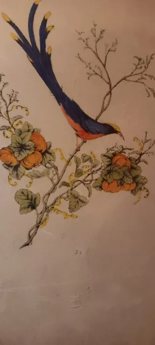 Grabado vintage pájaro y flores