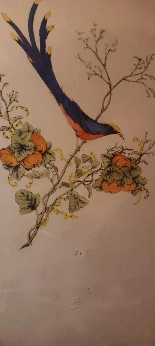 Grabado vintage pájaro y flores