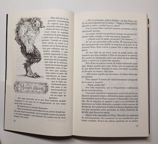 Libro "Las aventuras de Finn en Bocanegra".