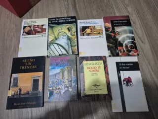 Lote de libros