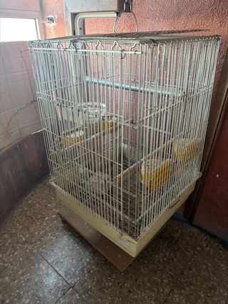 Jaula para loro o agapornis