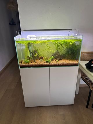 Acuario con mueble blanco