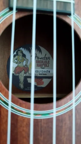 Ukelele Tenor Fender con Funda Negra