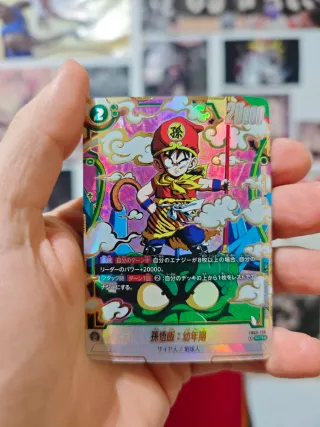 Son Gohan: AdolescenceSB02-026 + Son Gohan Youth