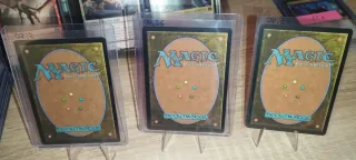 Magic The Gathering: Leonardo, Sewer Samurai