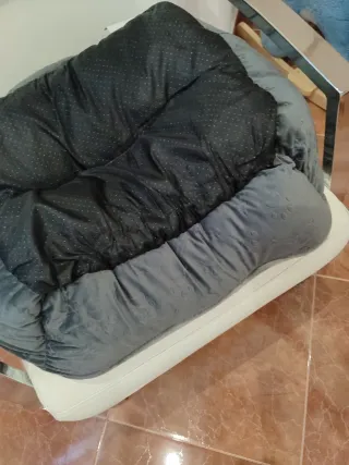 Cesta para perro o gato