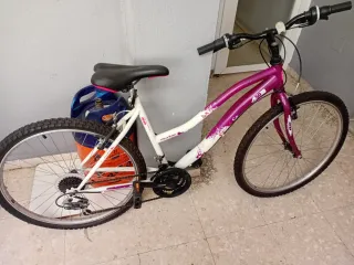 2 Bicicletas + 1 Pequeña Regalo