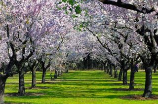 Piso en venta en Concepción en Madrid