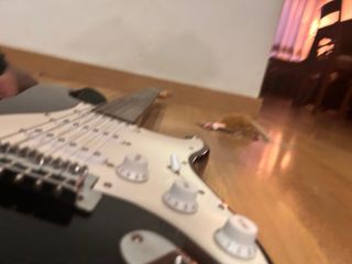 Guitarra eléctrica Rochester tipo Stratocaster