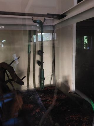 Acuario grande +200L