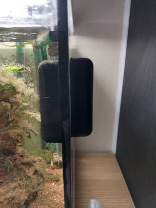Acuario grande +200L